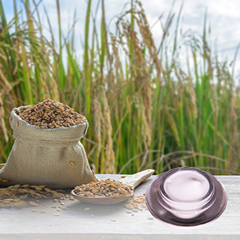 植物胎盤.米胚芽面霜(保養級)