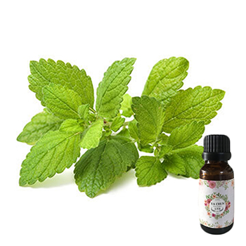 火行複方精油 - B 火行複方精油 - B