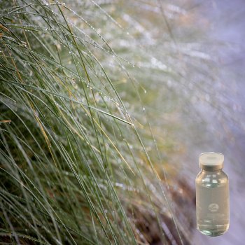 角質調理精華液